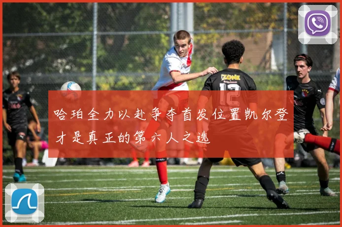 哈珀全力以赴争夺首发位置凯尔登才是真正的第六人之选
